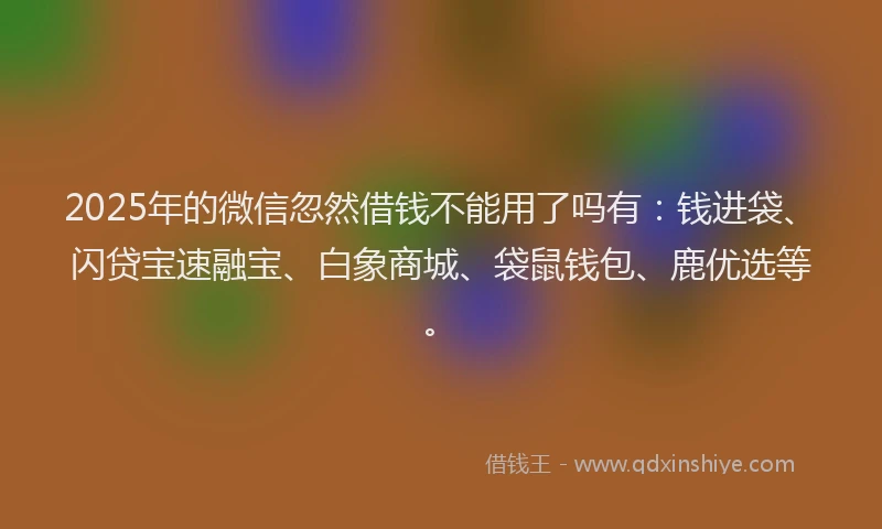 2025年的微信忽然借钱不能用了吗有：钱进袋、闪贷宝速融宝、白象商城、袋鼠钱包、鹿优选等。
