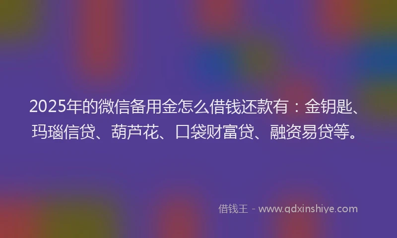 2025年的微信备用金怎么借钱还款有：金钥匙、玛瑙信贷、葫芦花、口袋财富贷、融资易贷等。