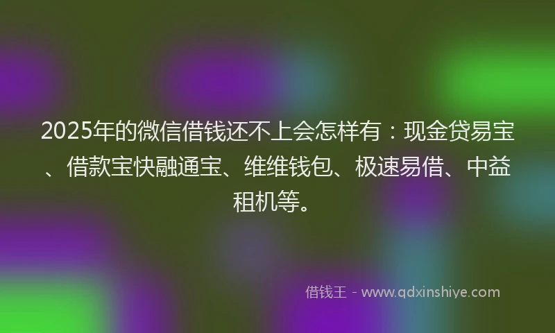 2025年的微信借钱还不上会怎样有:现金贷易宝、借款宝快融通宝、维维钱包、极速易借、中益租机等。