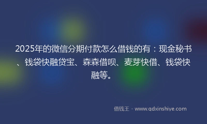 2025年的微信分期付款怎么借钱的有：现金秘书、钱袋快融贷宝、森森借呗、麦芽快借、钱袋快融等。
