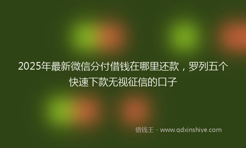 2025年最新微信分付借钱在哪里还款，罗列五个快速下款无视征信的口子