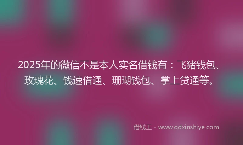 2025年的微信不是本人实名借钱有：飞猪钱包、玫瑰花、钱速借通、珊瑚钱包、掌上贷通等。