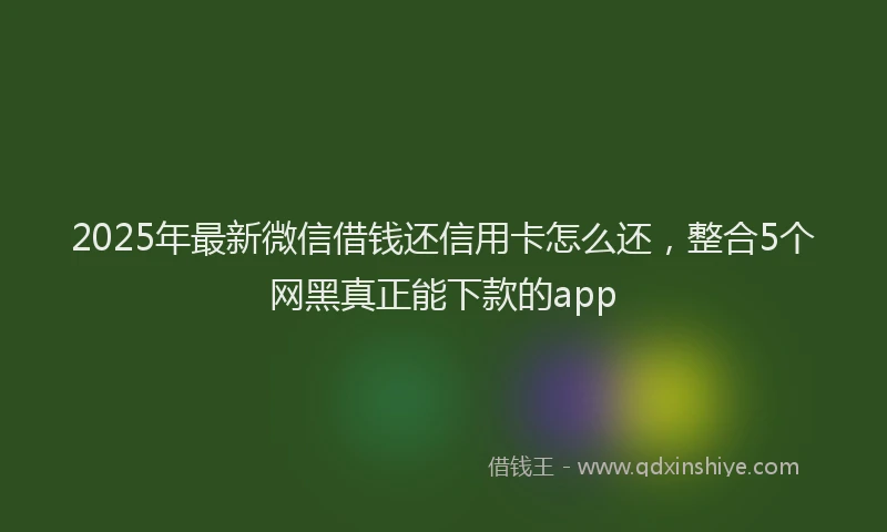 2025年最新微信借钱还信用卡怎么还，整合5个网黑真正能下款的app