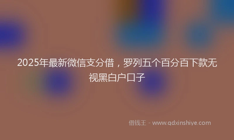 2025年最新微信支分借，罗列五个百分百下款无视黑白户口子