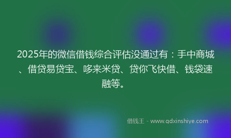 2025年的微信借钱综合评估没通过有：手中商城、借贷易贷宝、哆来米贷、贷你飞快借、钱袋速融等。