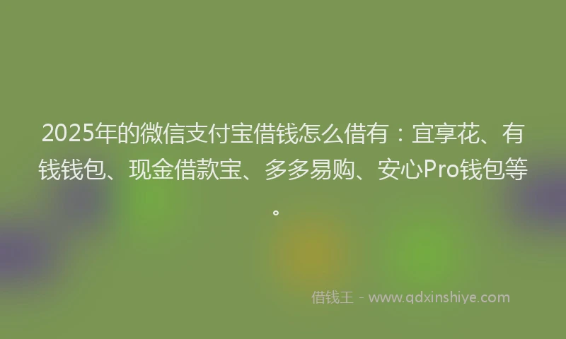 2025年的微信支付宝借钱怎么借有：宜享花、有钱钱包、现金借款宝、多多易购、安心Pro钱包等。