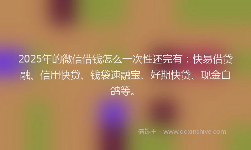 2025年的微信借钱怎么一次性还完有：快易借贷融、信用快贷、钱袋速融宝、好期快贷、现金白鸽等。