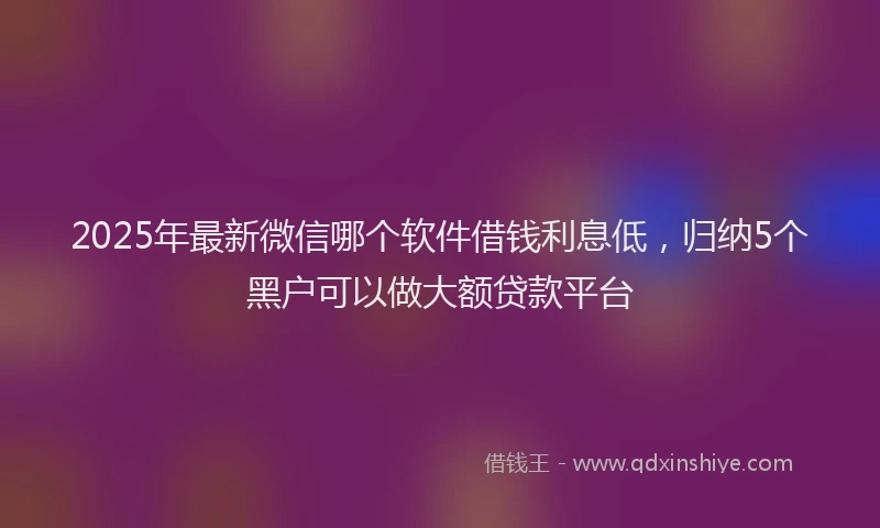 2025年最新微信哪个软件借钱利息低，归纳5个黑户可以做大额贷款平台