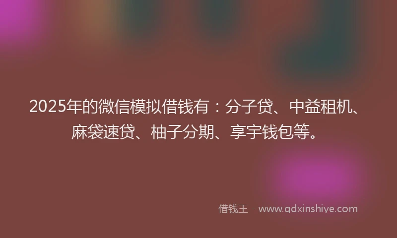 2025年的微信模拟借钱有：分子贷、中益租机、麻袋速贷、柚子分期、享宇钱包等。