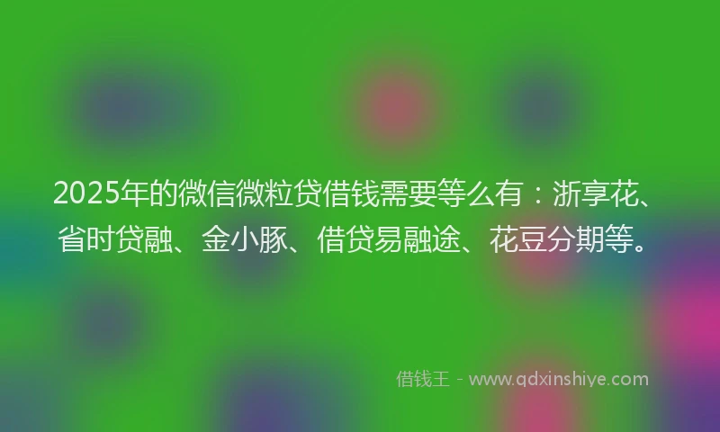 2025年的微信微粒贷借钱需要等么有：浙享花、省时贷融、金小豚、借贷易融途、花豆分期等。