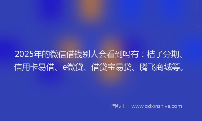 2025年的微信借钱别人会看到吗有：桔子分期、信用卡易借、e微贷、借贷宝易贷、腾飞商城等。