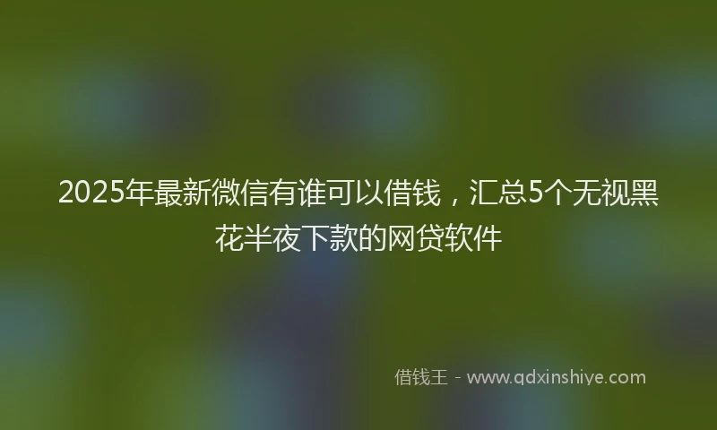 2025年最新微信有谁可以借钱，汇总5个无视黑花半夜下款的网贷软件