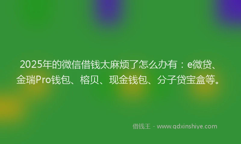2025年的微信借钱太麻烦了怎么办有：e微贷、金瑞Pro钱包、榕贝、现金钱包、分子贷宝盒等。