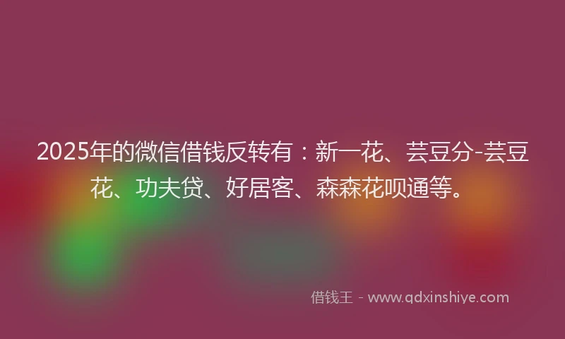 2025年的微信借钱反转有：新一花、芸豆分-芸豆花、功夫贷、好居客、森森花呗通等。