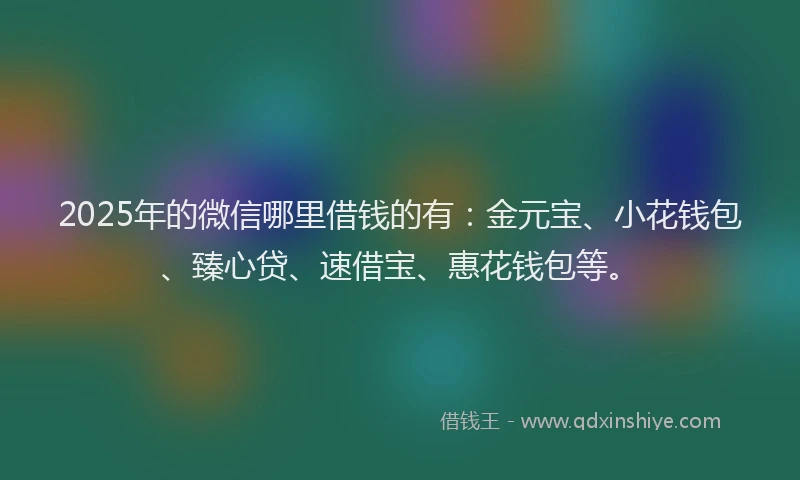 2025年的微信哪里借钱的有：金元宝、小花钱包、臻心贷、速借宝、惠花钱包等。