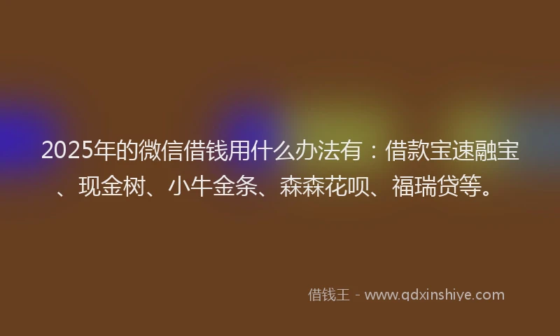2025年的微信借钱用什么办法有：借款宝速融宝、现金树、小牛金条、森森花呗、福瑞贷等。