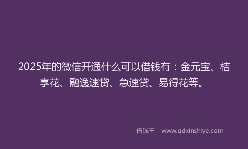 2025年的微信开通什么可以借钱有：金元宝、桔享花、融逸速贷、急速贷、易得花等。