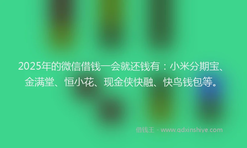 2025年的微信借钱一会就还钱有：小米分期宝、金满堂、恒小花、现金侠快融、快鸟钱包等。