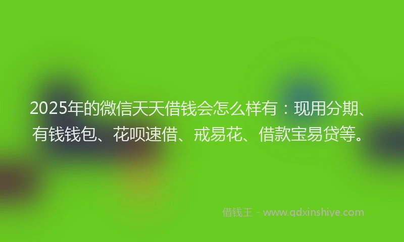 2025年的微信天天借钱会怎么样有：现用分期、有钱钱包、花呗速借、戒易花、借款宝易贷等。