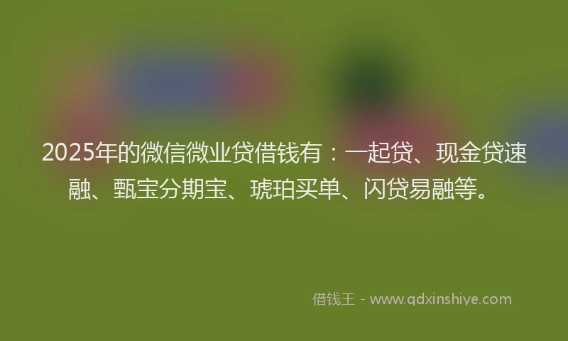 2025年的微信微业贷借钱有：一起贷、现金贷速融、甄宝分期宝、琥珀买单、闪贷易融等。