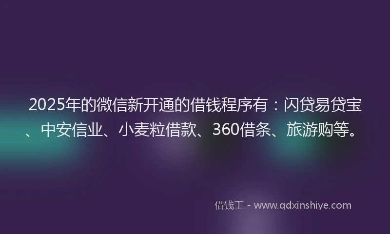 2025年的微信新开通的借钱程序有：闪贷易贷宝、中安信业、小麦粒借款、360借条、旅游购等。
