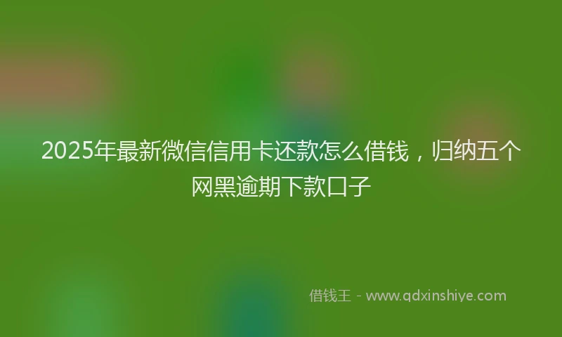 2025年最新微信信用卡还款怎么借钱，归纳五个网黑逾期下款口子