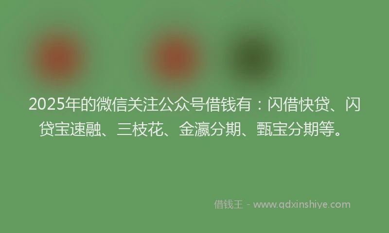 2025年的微信关注公众号借钱有：闪借快贷、闪贷宝速融、三枝花、金瀛分期、甄宝分期等。