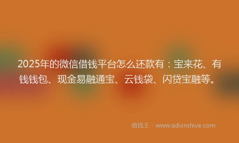 2025年的微信借钱平台怎么还款有:宝来花、有钱钱包、现金易融通宝、云钱袋、闪贷宝融等。