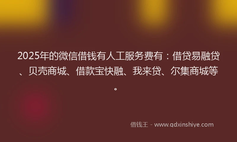 2025年的微信借钱有人工服务费有：借贷易融贷、贝壳商城、借款宝快融、我来贷、尔集商城等。