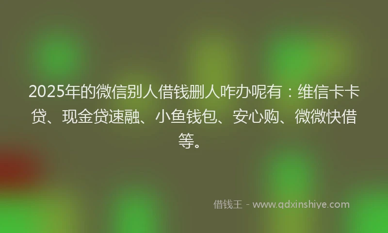 2025年的微信别人借钱删人咋办呢有：维信卡卡贷、现金贷速融、小鱼钱包、安心购、微微快借等。