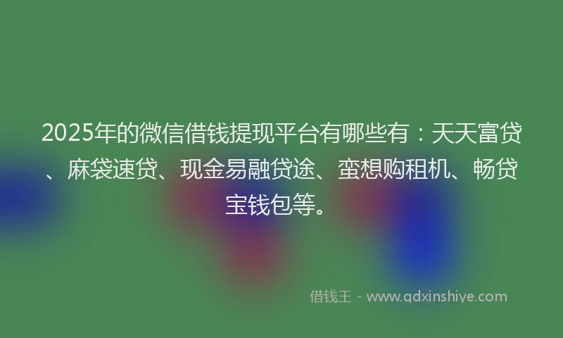 2025年的微信借钱提现平台有哪些有：天天富贷、麻袋速贷、现金易融贷途、蛮想购租机、畅贷宝钱包等。