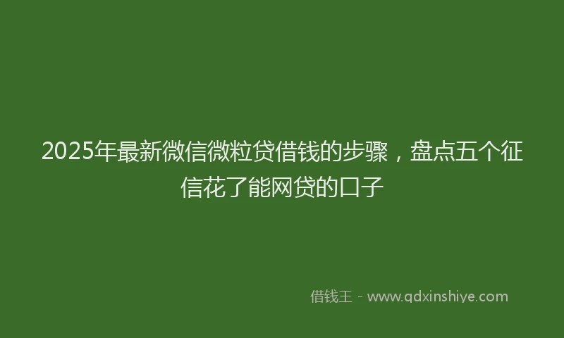 2025年最新微信微粒贷借钱的步骤，盘点五个征信花了能网贷的口子