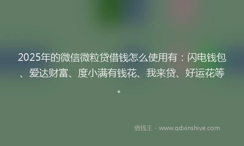 2025年的微信微粒贷借钱怎么使用有：闪电钱包、爱达财富、度小满有钱花、我来贷、好运花等。