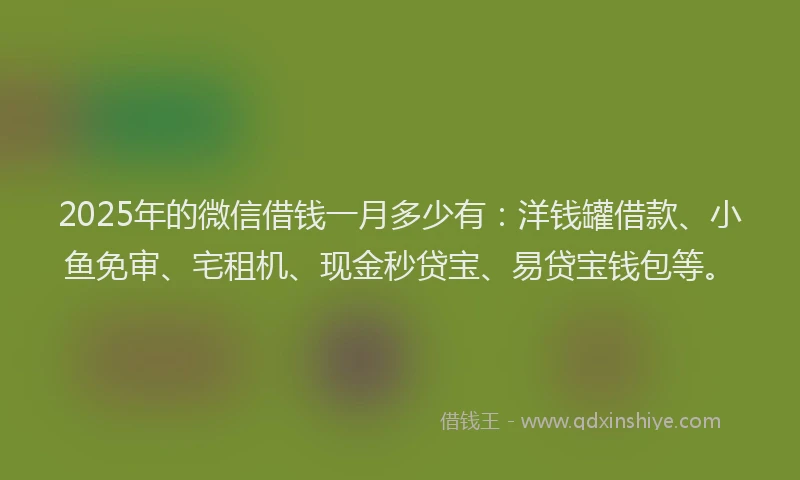2025年的微信借钱一月多少有：洋钱罐借款、小鱼免审、宅租机、现金秒贷宝、易贷宝钱包等。