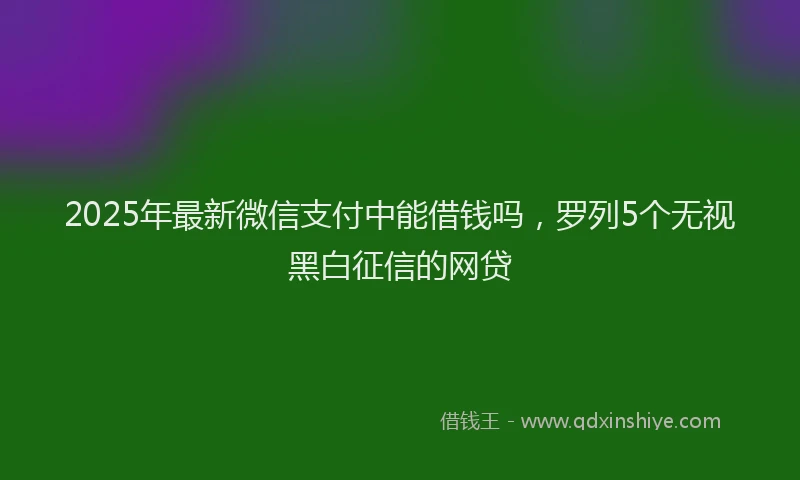 2025年最新微信支付中能借钱吗，罗列5个无视黑白征信的网贷