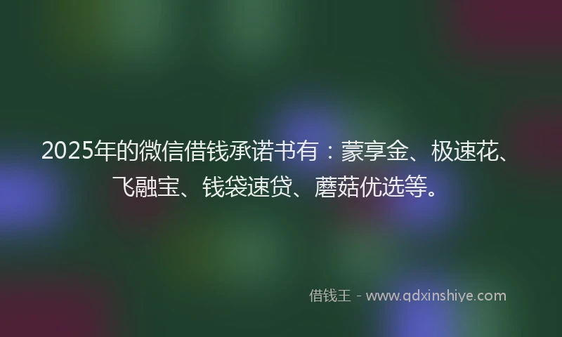 2025年的微信借钱承诺书有：蒙享金、极速花、飞融宝、钱袋速贷、蘑菇优选等。