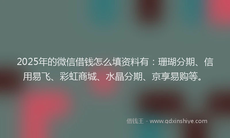 2025年的微信借钱怎么填资料有：珊瑚分期、信用易飞、彩虹商城、水晶分期、京享易购等。