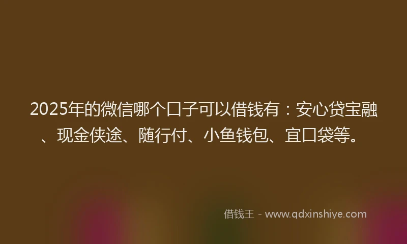 2025年的微信哪个口子可以借钱有：安心贷宝融、现金侠途、随行付、小鱼钱包、宜口袋等。