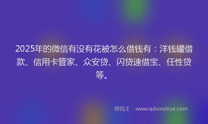 2025年的微信有没有花被怎么借钱有：洋钱罐借款、信用卡管家、众安贷、闪贷速借宝、任性贷等。