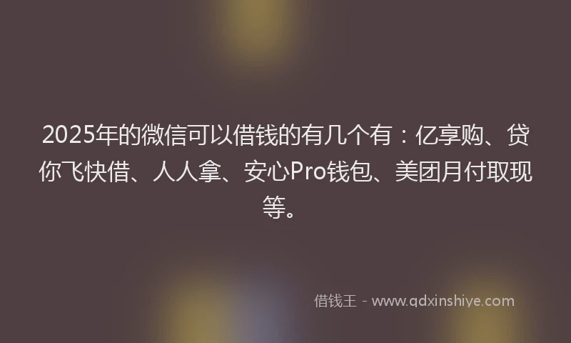 2025年的微信可以借钱的有几个有：亿享购、贷你飞快借、人人拿、安心Pro钱包、美团月付取现等。