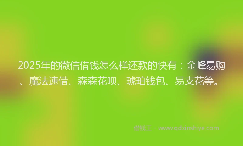 2025年的微信借钱怎么样还款的快有：金峰易购、魔法速借、森森花呗、琥珀钱包、易支花等。