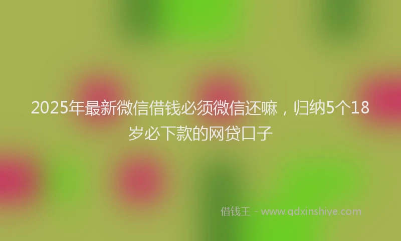 2025年最新微信借钱必须微信还嘛，归纳5个18岁必下款的网贷口子