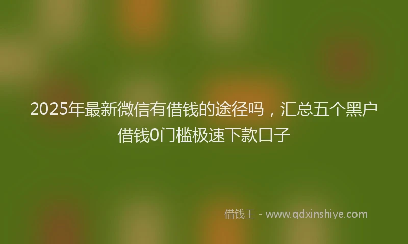 2025年最新微信有借钱的途径吗，汇总五个黑户借钱0门槛极速下款口子