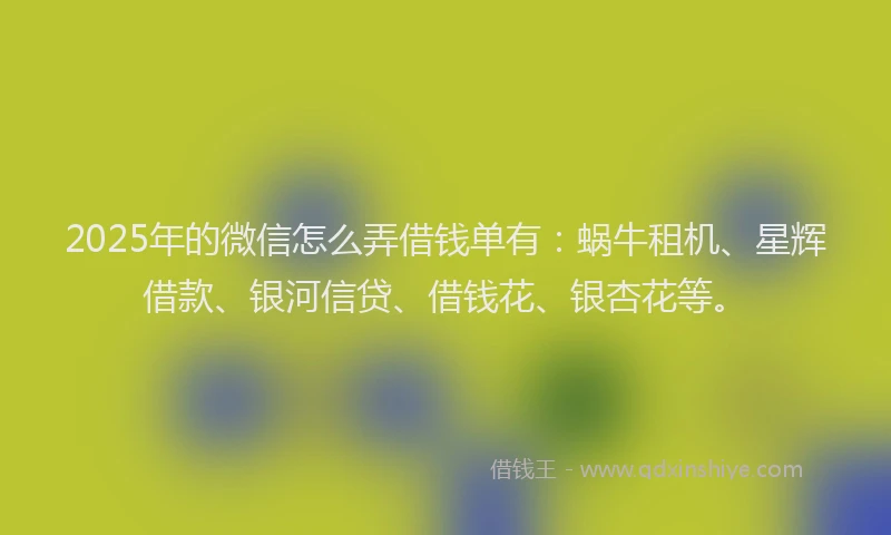 2025年的微信怎么弄借钱单有：蜗牛租机、星辉借款、银河信贷、借钱花、银杏花等。