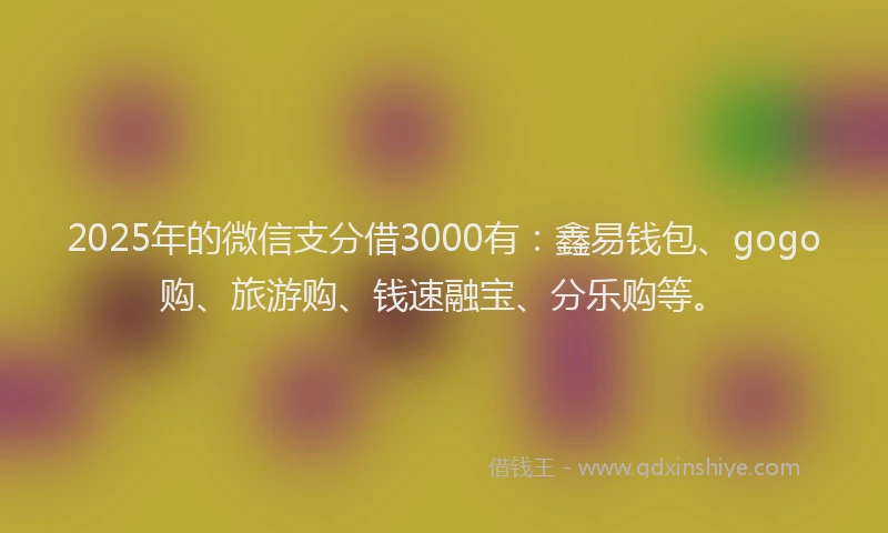 2025年的微信支分借3000有：鑫易钱包、gogo购、旅游购、钱速融宝、分乐购等。