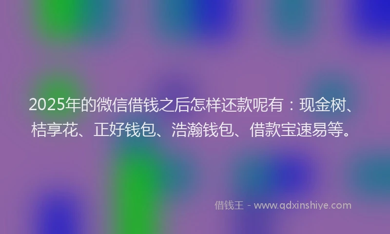 2025年的微信借钱之后怎样还款呢有：现金树、桔享花、正好钱包、浩瀚钱包、借款宝速易等。