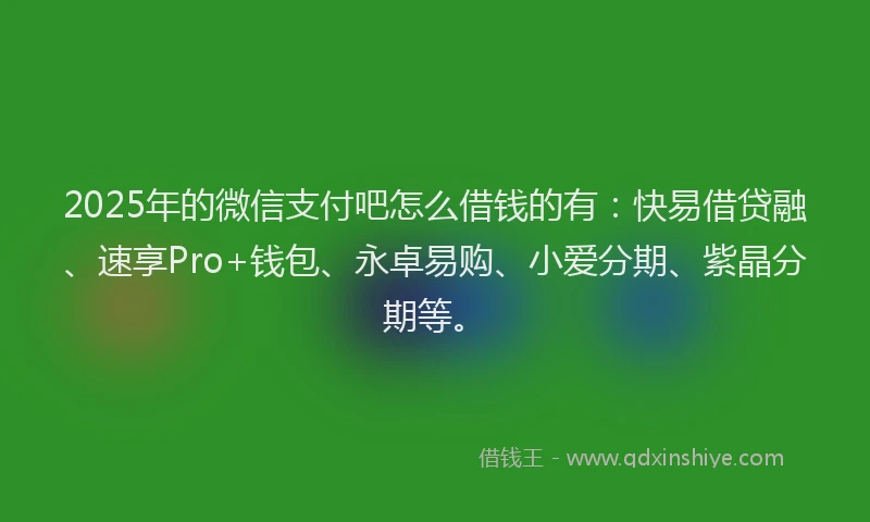 2025年的微信支付吧怎么借钱的有：快易借贷融、速享Pro+钱包、永卓易购、小爱分期、紫晶分期等。
