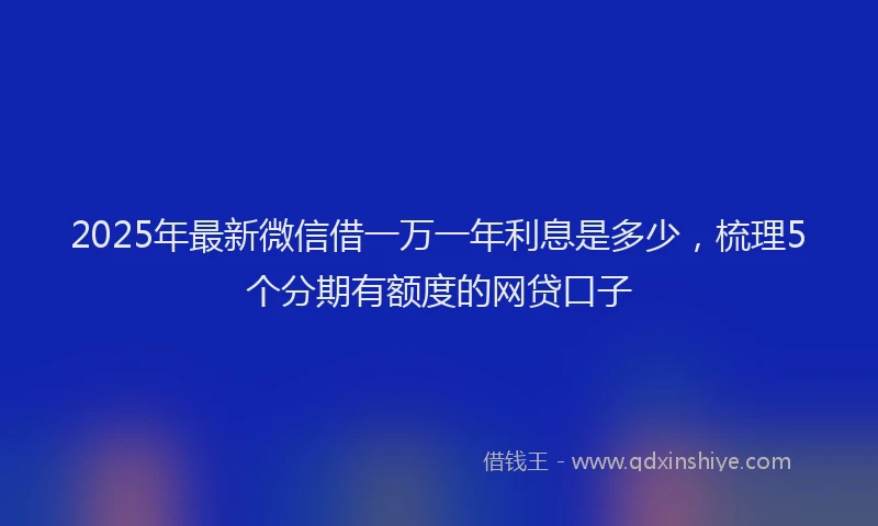 2025年最新微信借一万一年利息是多少，梳理5个分期有额度的网贷口子