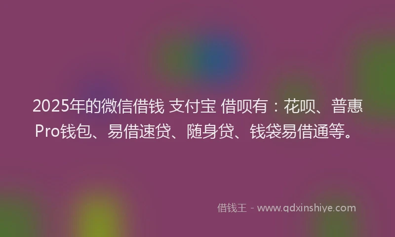 2025年的微信借钱 支付宝 借呗有：花呗、普惠Pro钱包、易借速贷、随身贷、钱袋易借通等。