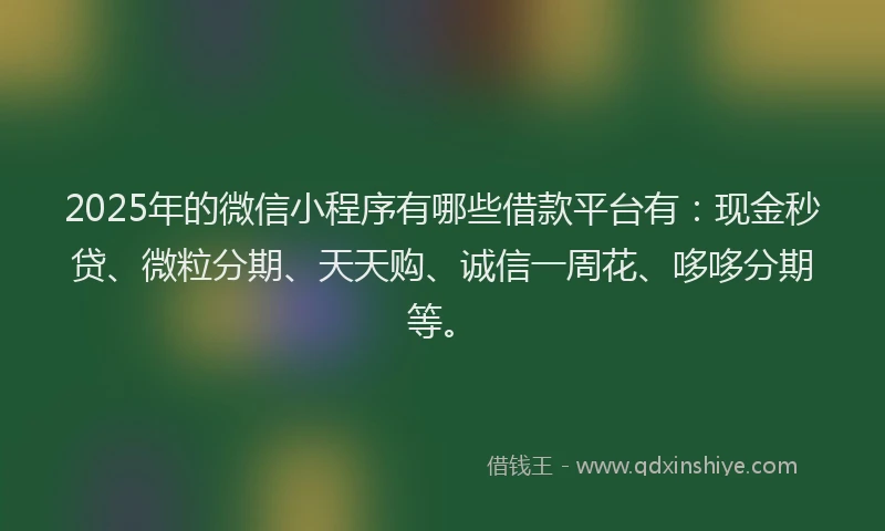 2025年的微信小程序有哪些借款平台有：现金秒贷、微粒分期、天天购、诚信一周花、哆哆分期等。